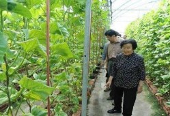 娱乐圈吃瓜代号蜜蜂是谁,娱乐圈神秘吃瓜者的真实身份揭秘